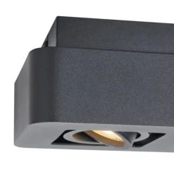 Abgerundeter Aufbaustrahler schwarz 2-flammig dreh- und schwenkbar - Dox