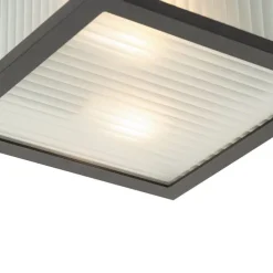 Außendeckenleuchte schwarz mit geripptem Glas 2-flammig IP44 - Charlois