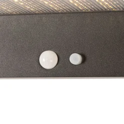 Außenwandleuchte dunkelgrau inkl. LED und Solar - Sunnie