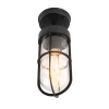 Country Exterior Deckenleuchte schwarz mit Glas IP44 - Elza