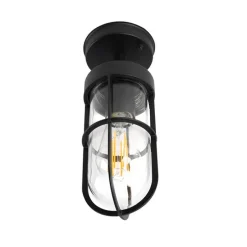 Country Exterior Deckenleuchte schwarz mit Glas IP44 - Elza