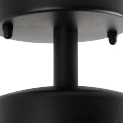 Country Exterior Deckenleuchte schwarz mit Glas IP44 - Elza