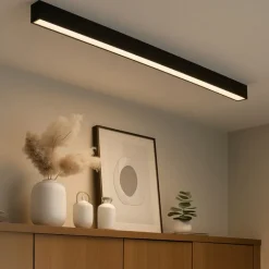 Deckenleuchte schwarz inkl. LED 3-Stufen-Dimmbar 2700-4000K mit Dip-Schalter - Keane