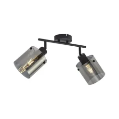 Design Deckenstrahler schwarz mit Rauchglas 2-Licht - Domo