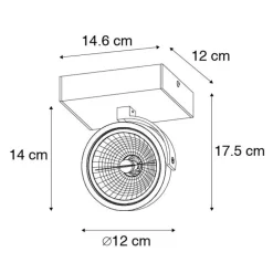 Design Deckenstrahler Schwarz Verstellbar - Go