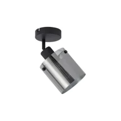 Design Wandstrahler schwarz mit Rauchglas - Domo