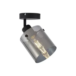 Design Wandstrahler schwarz mit Rauchglas - Domo