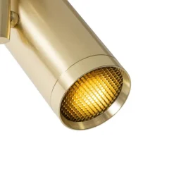 Design-Spot Gold verstellbar – Scopio Honey