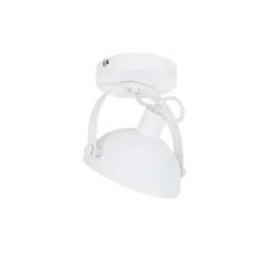 Industrielle Deckenleuchte weiß mit Silber 15 cm verstellbar – Magnax