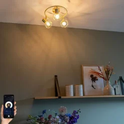 Intelligenter Strahler Messing dreh- und kippbar inkl. 3 Wifi P45 - Mosh