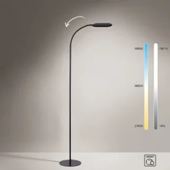 Moderne Stehleuchte schwarz dimmbar inkl. LED - Kiril
