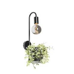 Moderne Wandlampe schwarz mit Glas - Roslini