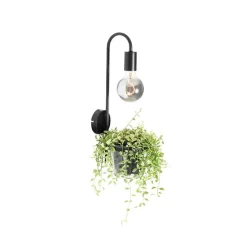 Moderne Wandlampe schwarz mit Glas - Roslini