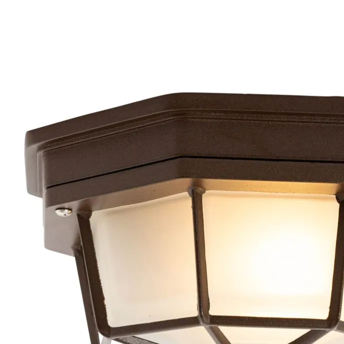 Rustikale Deckenleuchte Rostbraun 21,3 cm IP44 - Bri