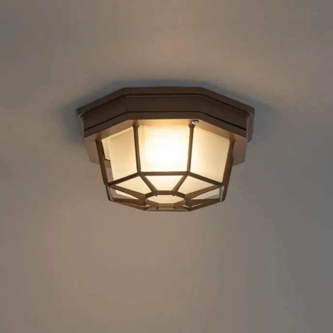 Rustikale Deckenleuchte Rostbraun 21,3 cm IP44 - Bri