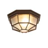 Rustikale Deckenleuchte Rostbraun 26,5 IP44 - Bri
