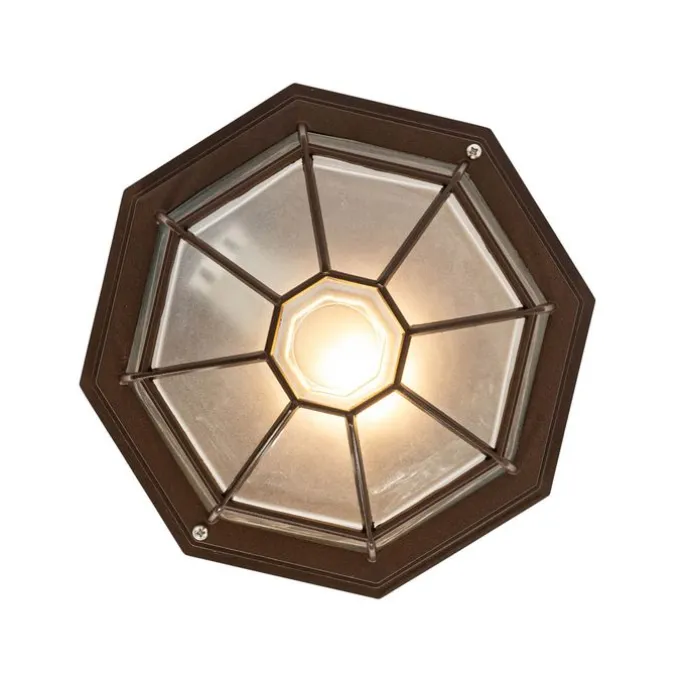 Rustikale Deckenleuchte Rostbraun 26,5 IP44 - Bri