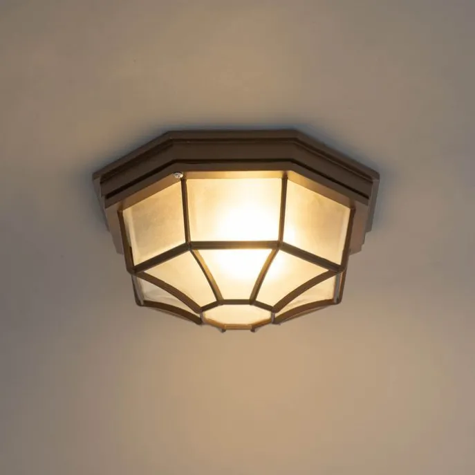 Rustikale Deckenleuchte Rostbraun 26,5 IP44 - Bri