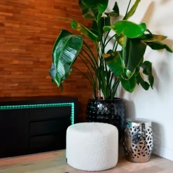 Set aus 2 smarten LED-Streifen RGBW und dimmbar in Kelvin 2 m inkl. Treiber