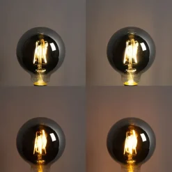 Smart E27 dimmbar in Kelvin LED-Lampe G95 Rauch 4W 60 lm 1800-3000K