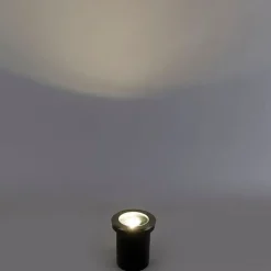 Smart Outdoor Spot Spot Edelstahl inkl. WiFi GU10 IP65 - Delux