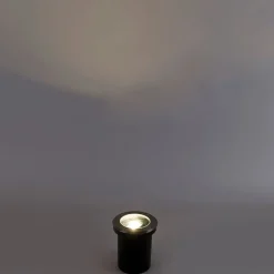 Smart Outdoor Spot Spot Edelstahl inkl. WiFi GU10 IP65 - Delux