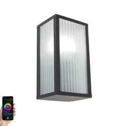 Smarte Außenwandleuchte schwarz mit geripptem Glas inkl. WLAN A60 - Charlois