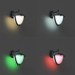 Smarte Außenwandleuchte schwarz mit Opalglas inkl. LED IP54 - Classica