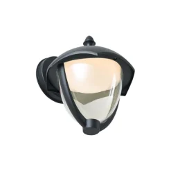 Smarte Außenwandleuchte schwarz mit Klarglas inkl. LED IP54 - Classica