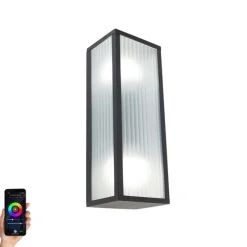 Smarte Außenwandleuchte schwarz mit geripptem Glas inkl. 2 WiFi A60 - Charlois