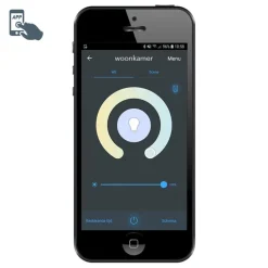 Smarte Außenwandleuchte Zink IP44 inkl. WLAN A60 - München