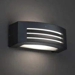 Smarte Wandleuchte Anthrazit IP44 inkl. Wifi P45 - Hurricane 1