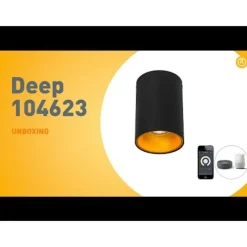 Smarter Aufbauspot schwarz mit gold inkl. WiFi GU10 - Deep