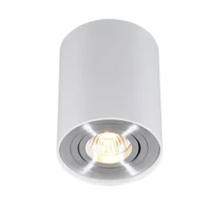 Smarter Aufbaustrahler weiß und Stahl neigbar inkl. Wifi GU10 - Rondoo up