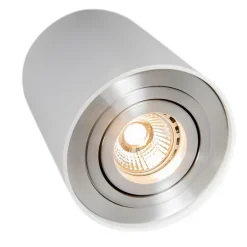 Smarter Aufbaustrahler weiß und Stahl neigbar inkl. Wifi GU10 - Rondoo up