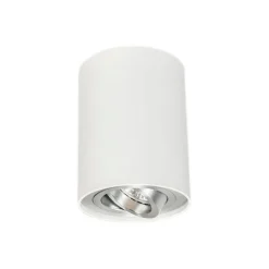 Smarter Aufbaustrahler weiß und Stahl neigbar inkl. Wifi GU10 - Rondoo up