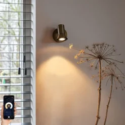 Smarter bronzefarbener Wandstrahler dreh- und neigbar mit Schalter inkl. Wifi GU10 50mm - Karin 1