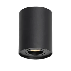 Smarter Deckenspot schwarz verstellbar inkl. Wifi GU10 - Rondoo up