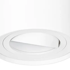 Smarter Deckenspot weiß verstellbar inkl. Wifi GU10 - Rondoo up