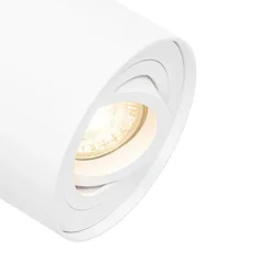 Smarter Deckenspot weiß verstellbar inkl. Wifi GU10 - Rondoo up