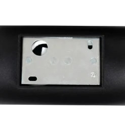 Smart-Wandleuchte schwarz mit goldenem Innenleben inkl. WiFi G9 - Ria