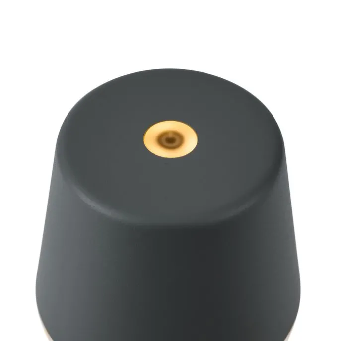 Tischleuchte Dunkelgrau inkl. LED IP65 Wiederaufladbar mit Ladestation - Bass