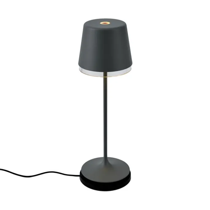 Tischleuchte Dunkelgrau inkl. LED IP65 Wiederaufladbar mit Ladestation - Bass