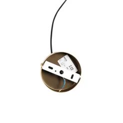 Vintage-Hängelampe Gold Federn - Botanica