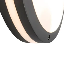 Wand- und Deckenleuchte Dunkelgrau 2-flammig IP54 - Glow