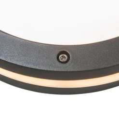 Wand- und Deckenleuchte Dunkelgrau 2-flammig IP54 - Glow