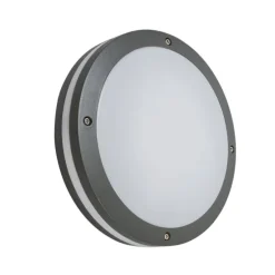 Wand- und Deckenleuchte Dunkelgrau 2-flammig IP54 - Glow